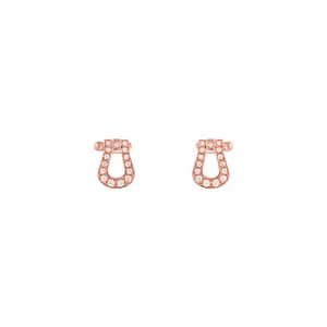 <strong>FRED </strong><br>Boucles d’oreilles Force 10